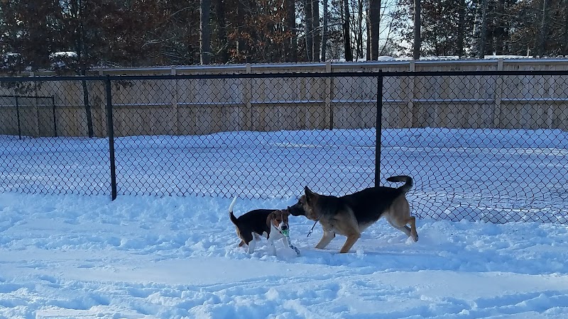 Lakeland Area Dog Park - Minocqua, WI