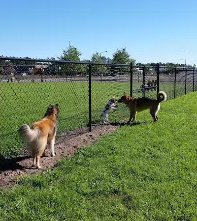 Lakeland Area Dog Park - Minocqua, WI