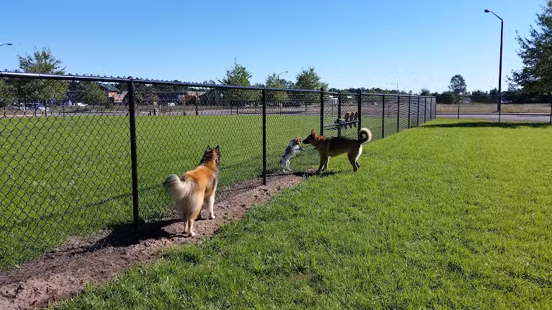 Lakeland Area Dog Park - Minocqua, WI