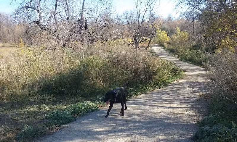Dakota Bark Park - Minot, ND