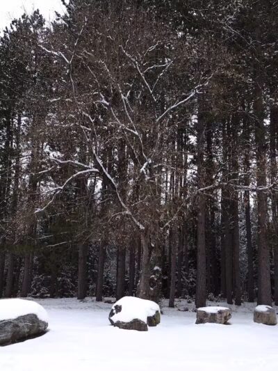 Comin's Creek Canoe Kayak Landing - Mio,