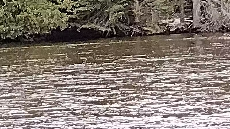 Comin's Creek Canoe Kayak Landing - Mio,