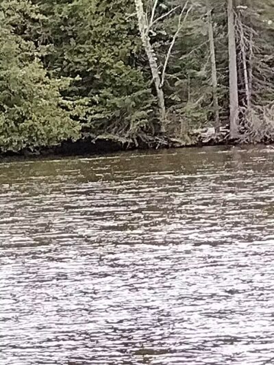 Comin's Creek Canoe Kayak Landing - Mio,