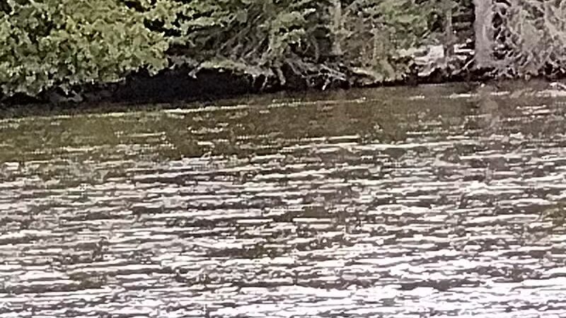 Comin's Creek Canoe Kayak Landing - Mio,