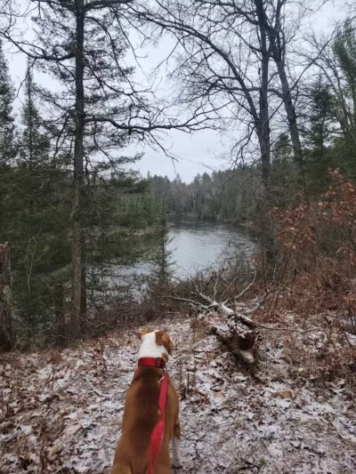 Wolf Creek Trailhead - Mio,
