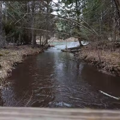 Wolf Creek Trailhead - Mio,