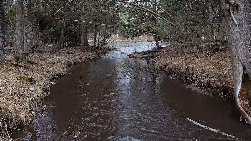 Wolf Creek Trailhead - Mio,