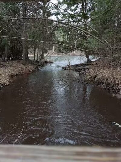 Wolf Creek Trailhead - Mio,