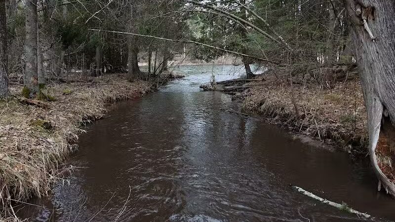 Wolf Creek Trailhead - Mio,