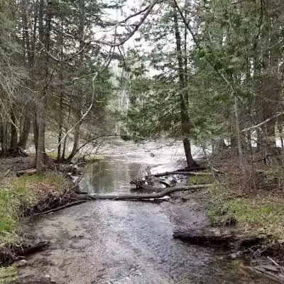 Wolf Creek Trailhead - Mio,