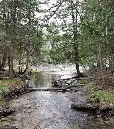 Wolf Creek Trailhead - Mio,