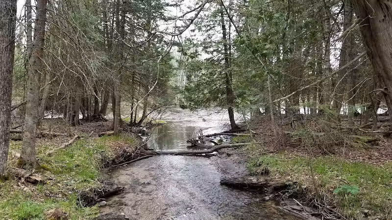 Wolf Creek Trailhead - Mio,