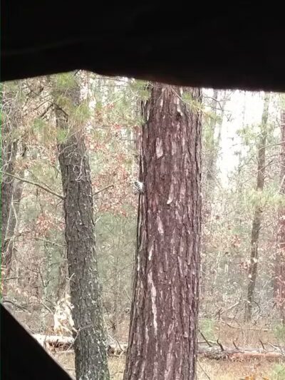 Wolf Creek Trailhead - Mio,