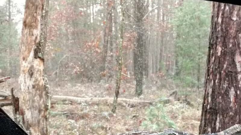 Wolf Creek Trailhead - Mio,