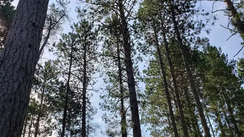 Wolf Creek Trailhead - Mio,