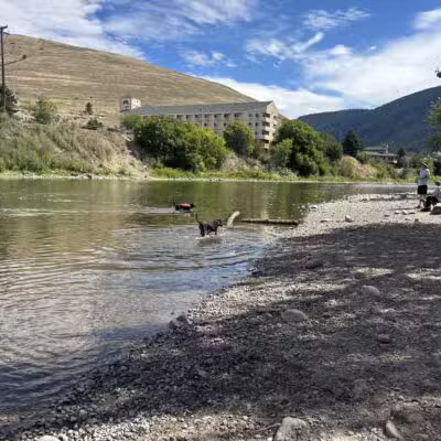 Jacobs Island Offleash Dog Park (Swimming Access) - Missoula, MT