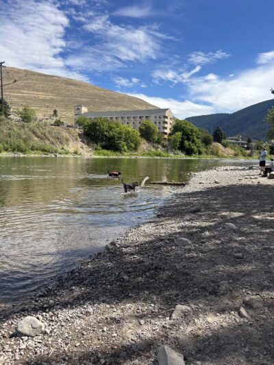 Jacobs Island Offleash Dog Park (Swimming Access) - Missoula, MT