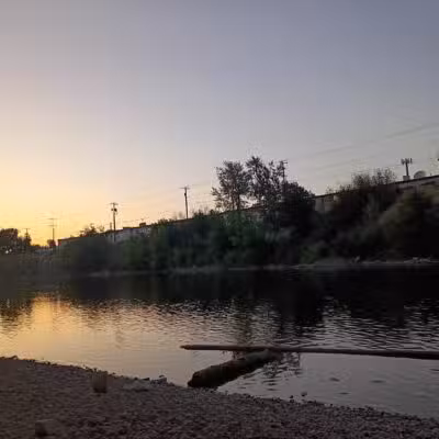 Jacobs Island Offleash Dog Park (Swimming Access) - Missoula, MT