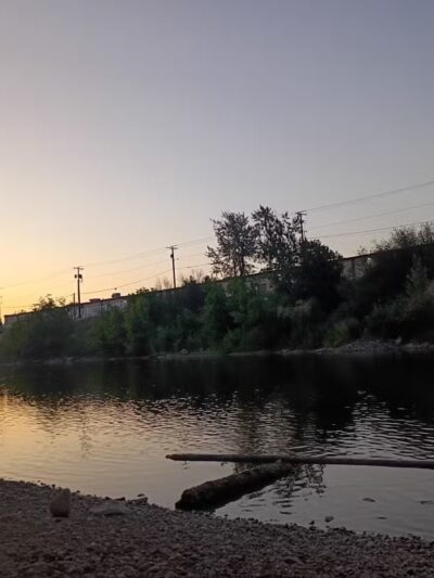 Jacobs Island Offleash Dog Park (Swimming Access) - Missoula, MT