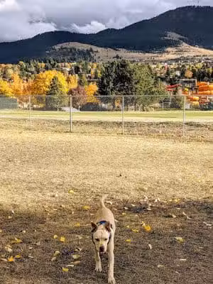 Playfair Park Pup Pen - Missoula, MT