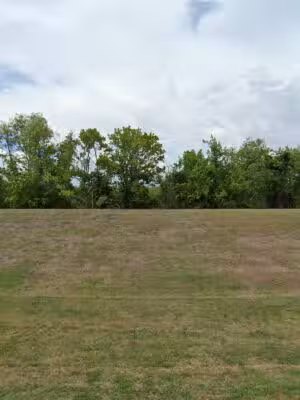 Dog Park - Missouri City, TX