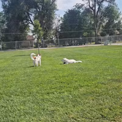 Carol A. Fuller Charity Foundation Dog Park - Mitchell, NE