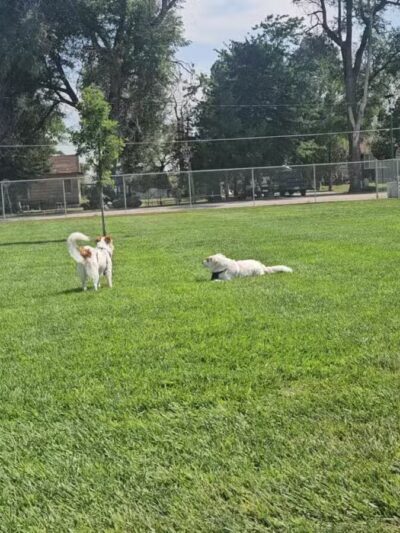 Carol A. Fuller Charity Foundation Dog Park - Mitchell, NE