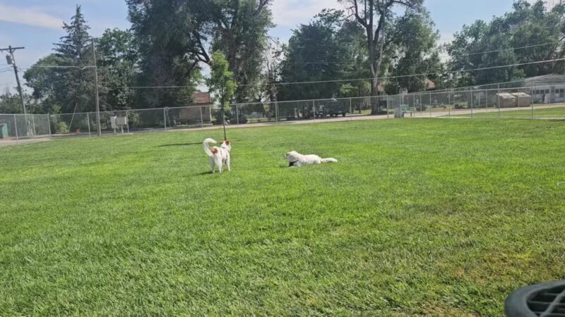 Carol A. Fuller Charity Foundation Dog Park - Mitchell, NE
