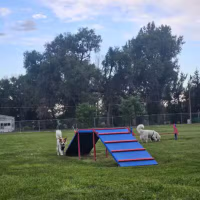 Carol A. Fuller Charity Foundation Dog Park - Mitchell, NE