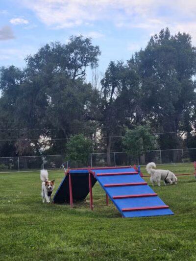 Carol A. Fuller Charity Foundation Dog Park - Mitchell, NE