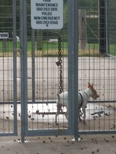 Rothwell Park Dog Park - Moberly, MO