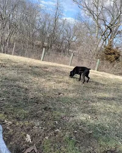 Rothwell Park Dog Park - Moberly, MO