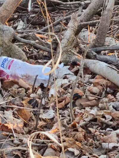 C.D."AL" Cappuccili Park - Monroe,