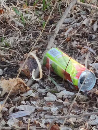 C.D."AL" Cappuccili Park - Monroe,