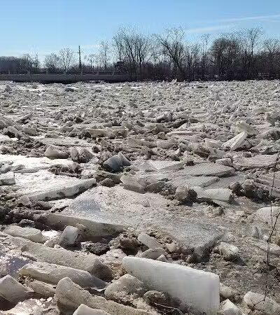 C.D."AL" Cappuccili Park - Monroe,