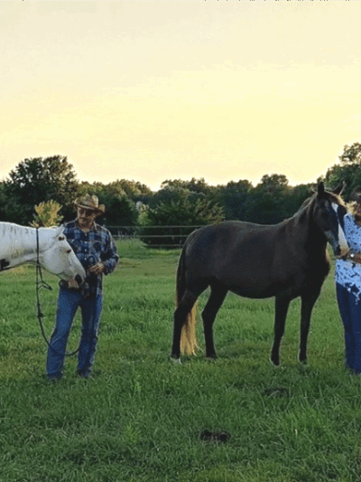 Double Hearts Ranch - Monroe City, MO