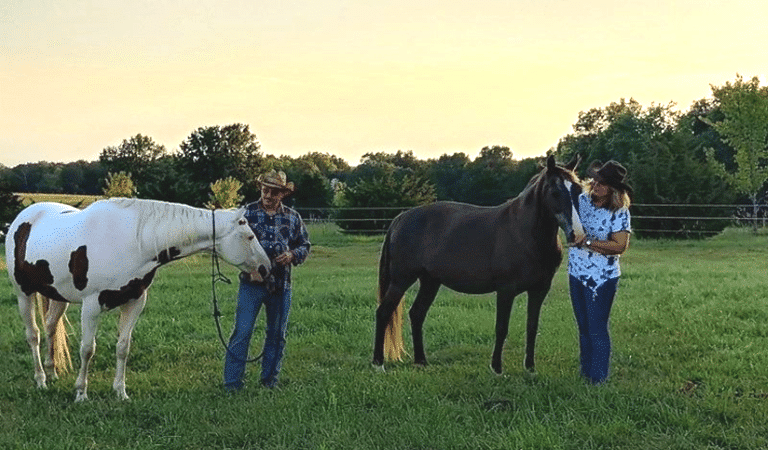 Double Hearts Ranch - Monroe City, MO