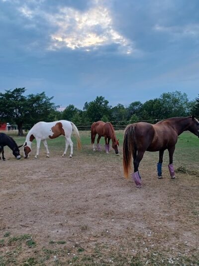 Double Hearts Ranch - Monroe City, MO