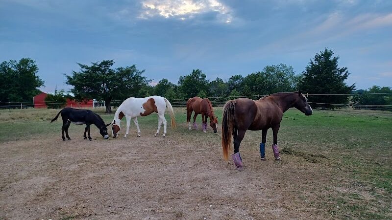 Double Hearts Ranch - Monroe City, MO