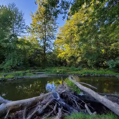 Kiwanis Park - Monroe,