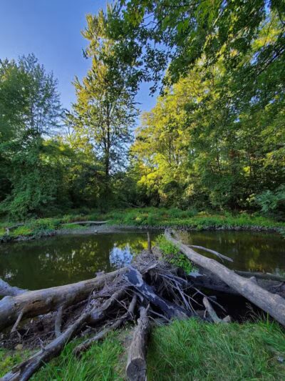 Kiwanis Park - Monroe,