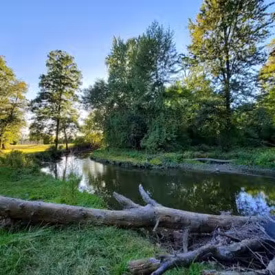 Kiwanis Park - Monroe,