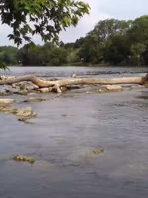 C.D."AL" Cappuccili Park - Monroe,