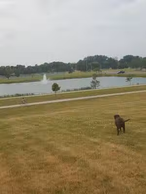 Munson Park - Monroe,