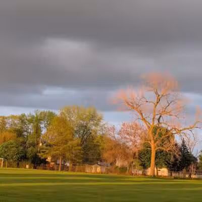 Munson Park - Monroe,