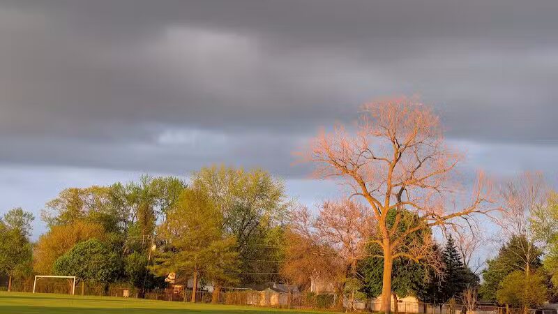 Munson Park - Monroe,