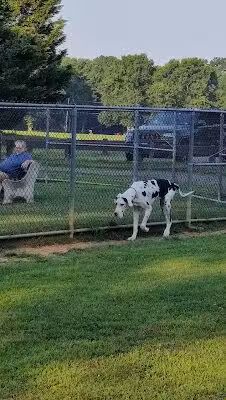 Thompson Park Dog Park - Monroe Township, NJ