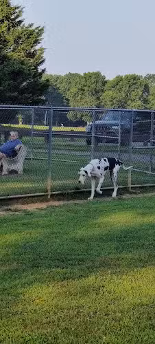 Thompson Park Dog Park - Monroe Township, NJ