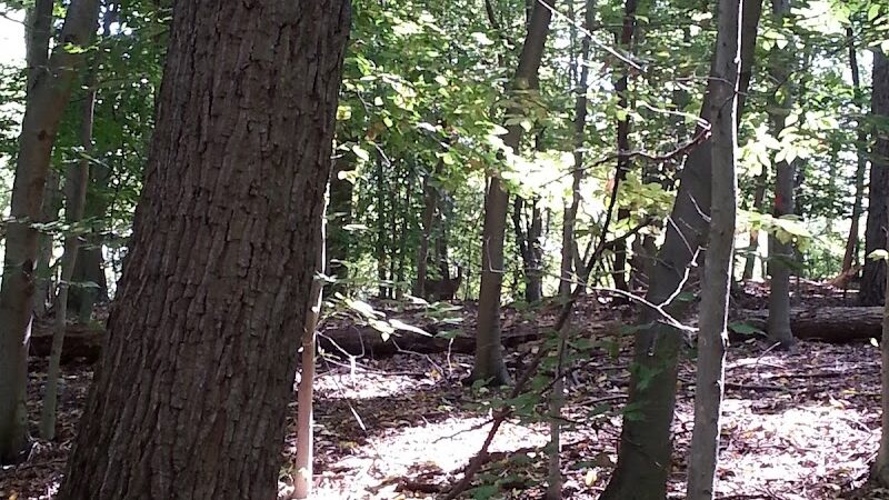Thompson Park - Monroe Township, NJ