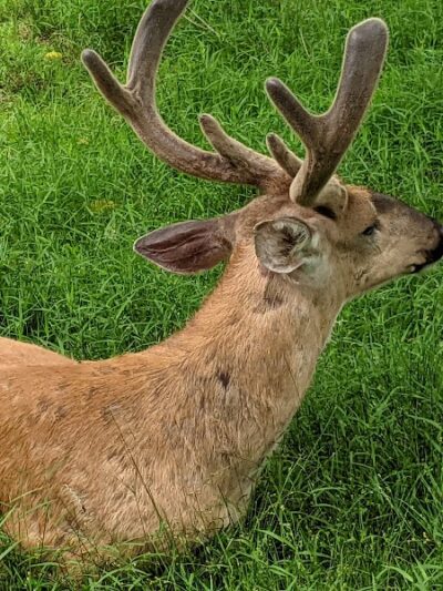 Thompson Park - Monroe Township, NJ